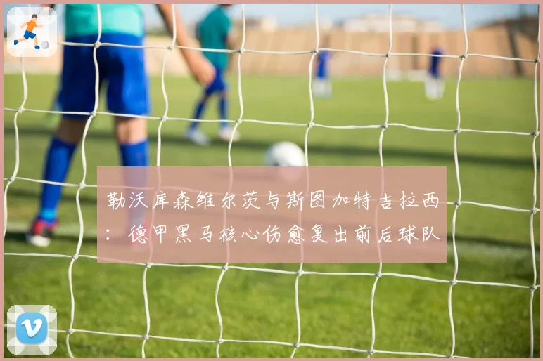 勒沃库森维尔茨与斯图加特吉拉西：德甲黑马核心伤愈复出前后球队胜率变化分析