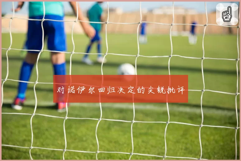 对诺伊尔回归决定的尖锐批评