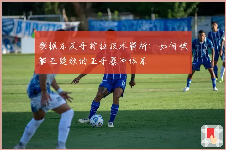 樊振东反手拧拉技术解析：如何破解王楚钦的正手暴冲体系