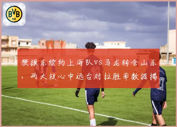 樊振东续约上海队vs马龙转会山东，两大核心中远台对拉胜率数据揭秘